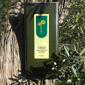 olio evo latta massi