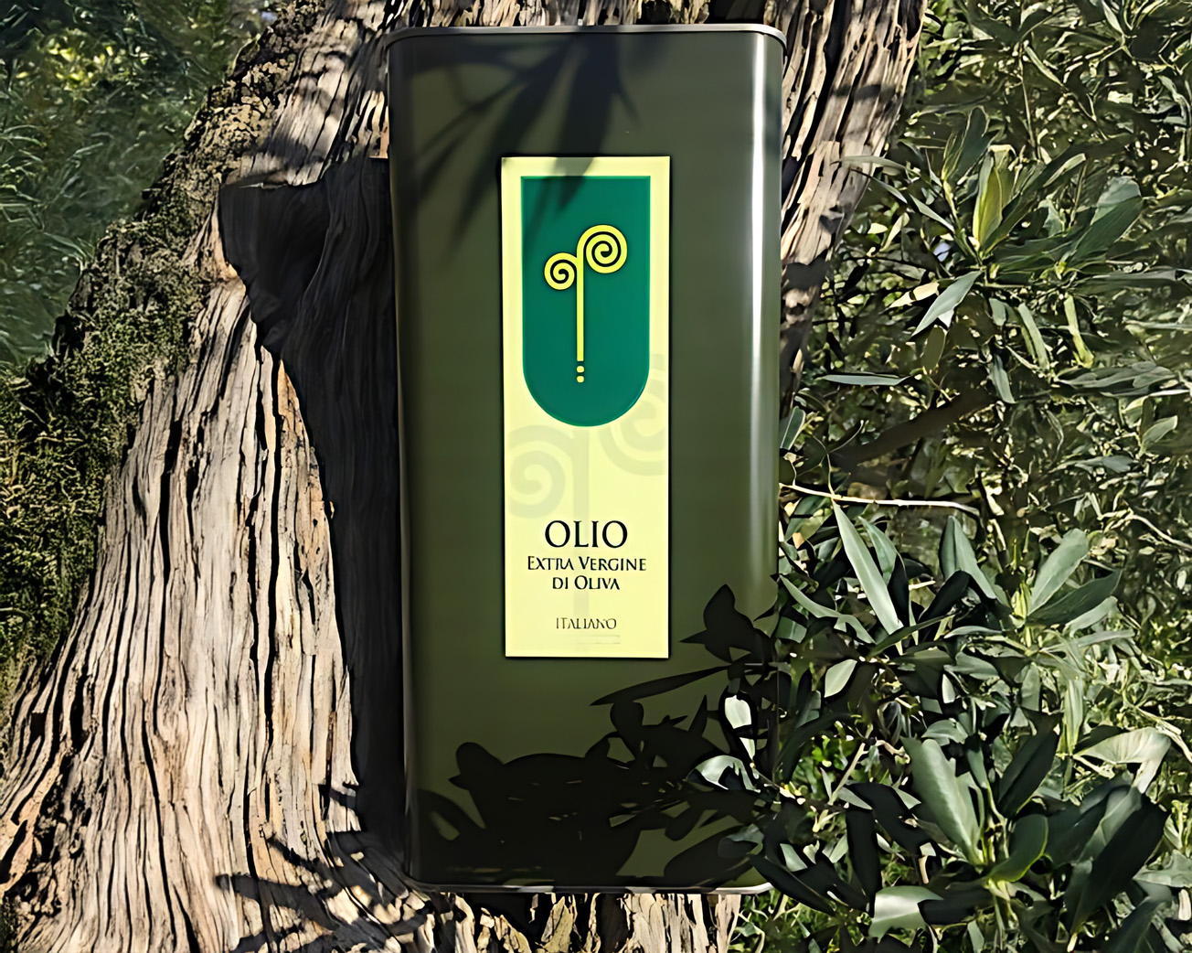 olio evo latta massi